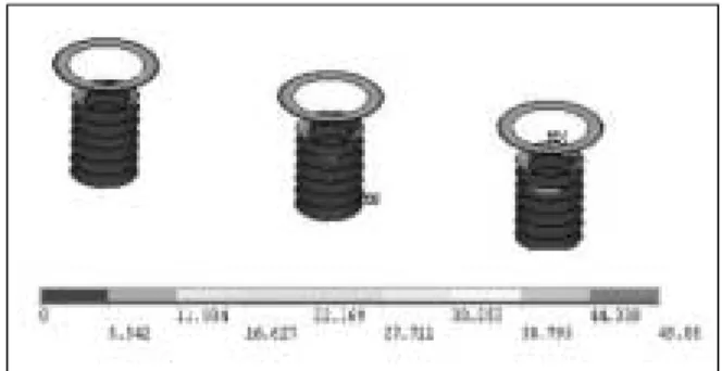 Fig. 4. Results of contact stress in the BA model