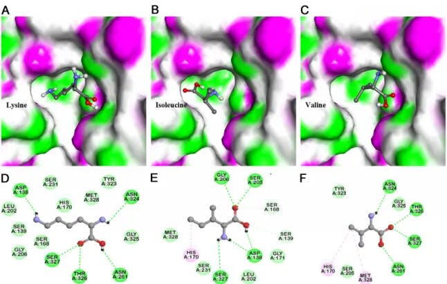 Fig. 4. Molecular orientation and binding pattern of casein enriched residues with ASP