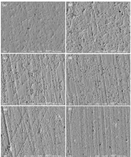 Fig. 1. SEM micrograph at magnification of 1,000X for composite resins cured. ⒜ TS; ⒝ TE; ⒞ GS; ⒟ GE; ⒠ SS; ⒡ SE.