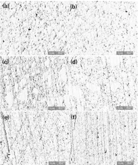 Table 4. Result of pore Image pixel in high contrast of composite resins cured
