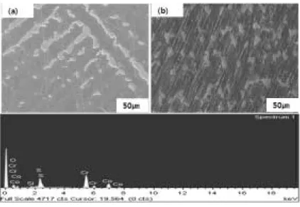 Fig. 4. FE-SEM micrographs showing casting structure T-alloy. ⒜ centrifugal casting ⒝ high frequency induction casting