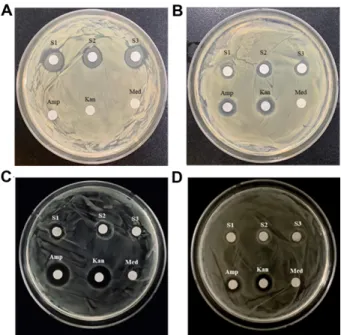 Fig. 3. Effects of NaCl concentrations on growths of  Weissella sp. S1 ( □ ), S2 ( ○ ) and S3 ( ● )