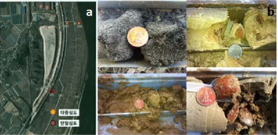 Fig. 1. (a) Plan view of the  research site with the well locations and (b) sediment samples collected at different depths with distinctly different colors implying subsurface redox condition changes.