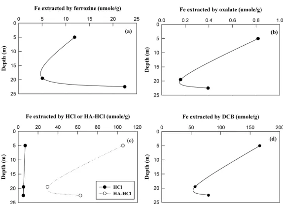 Fig. 3. Fe extracted by different extraction methods from the sediment (< 2 mm) as a function of depth: Fe  extracted by (a) 4 mM ferrozine, (b) 0.2 N ammonium oxalate, (c) 0.5 N HCl and HA-HCl, and (d) DCB  solution