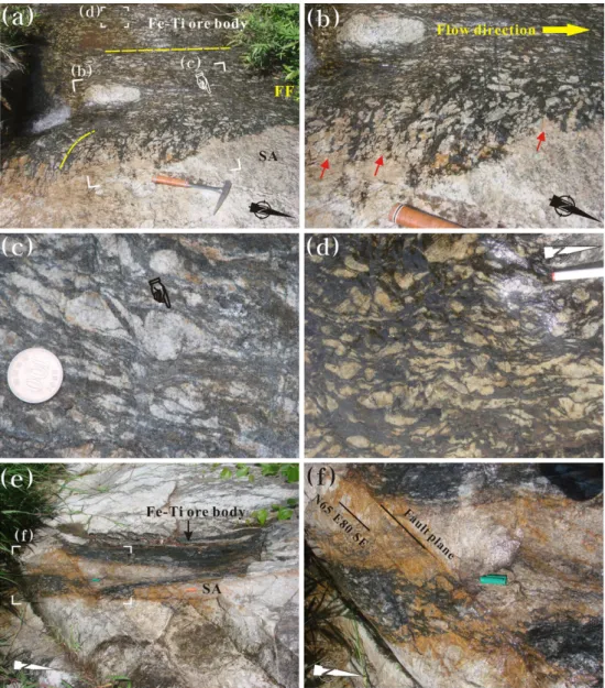 Fig. 12. Outcrop photographs of (a-d) flow structures of FTO (a: whole view, b-d: partially enlarged view) and (e, f) fault of ENE trend right-laterally offsetting the SA and FTO (e: whole view, f: partially enlarged view) in the No