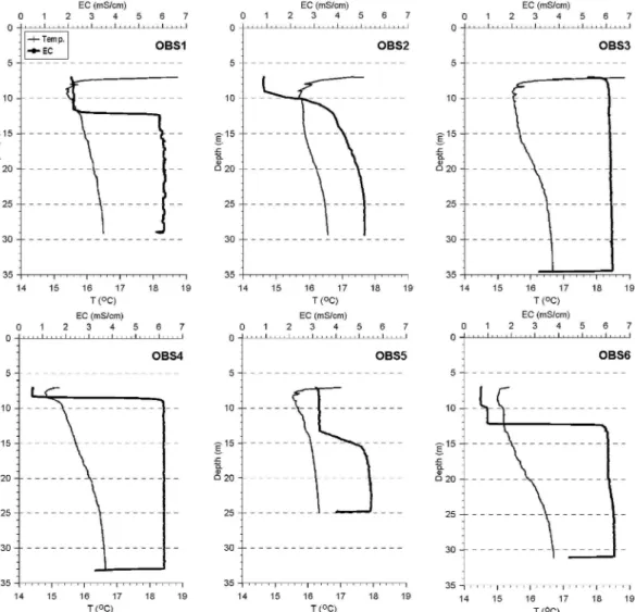 Fig. 4. Distribution of water temperature and electrical conductivity (EC) with depth in each observation well (measuring device: CTD Diver, date: 2013-5-30).