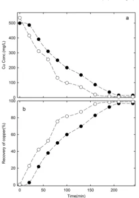 Table 3. variation of weight on the cathode and anode plate(g)