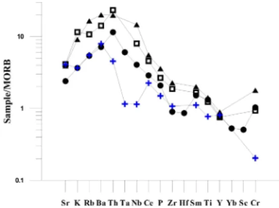 Fig. 14. Mid-ocean ridge basalt-normalized trace element patterns for Udo basalt flows
