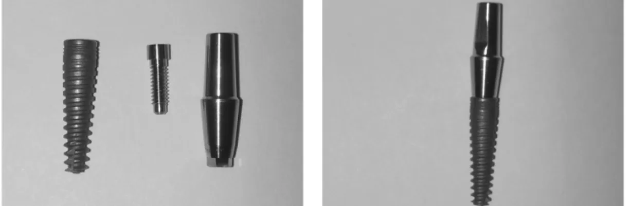 Fig. 1. Internal submerged type implant