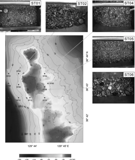 Table 1. Grain size analysis of surface sediments around the Wangdol-cho