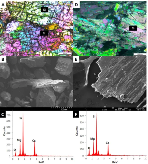 Fig. 10. Polarizing micrographs and SEM-EDS analyses of carbonate rock R3 and R4 showing crystal habits of tremolite (Tr) and diopside (Di): (A) polarizing micrograph showing cleavage of tremolite and pyroxene, (B) scanning electron micrograph showing non-