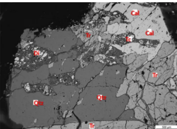 Fig. 11. Back-scattered electron microscopy image of carbonate rock R1 showing prograde reaction textures of calcite (Cal), diopside (Di), dolomite (Do), and tremolite (Tr).