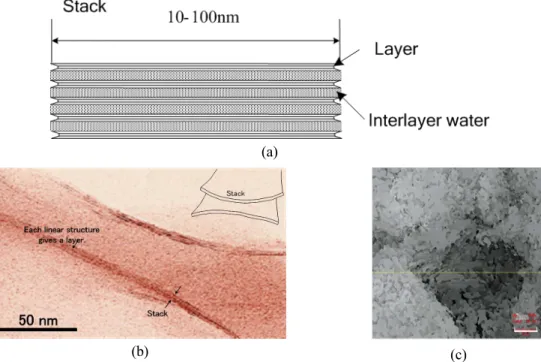 Fig. 1. Micro structure and macro structure of expansible clay mineral ((a) : schematic view of beidellite, (b)  : TEM picture of beidellite, (c) : SEM picture of beidellite).