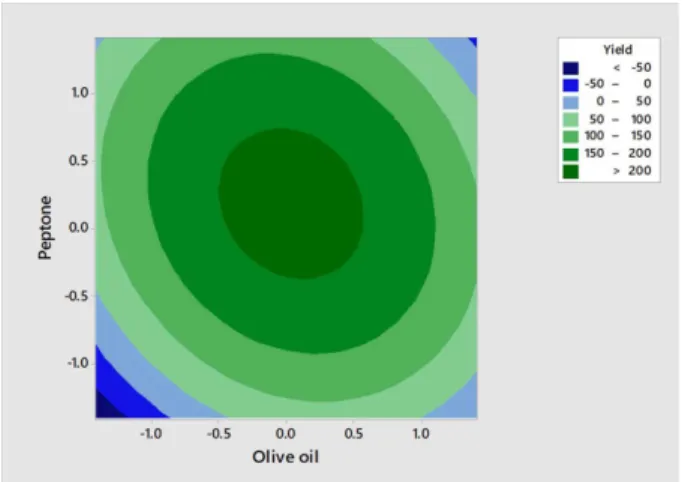 Fig. 3. Contour plot of combination of olive oil and peptone on lipase production. 