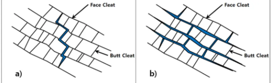 Fig. 1. Fluid flow in (a) Butt cleat and (b) Face cleat of coal (Olsen et al., 2003).