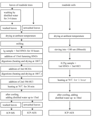 Fig. 2. Flow chart showing the procedure of preparation and analysis for soil and leaves samples.
