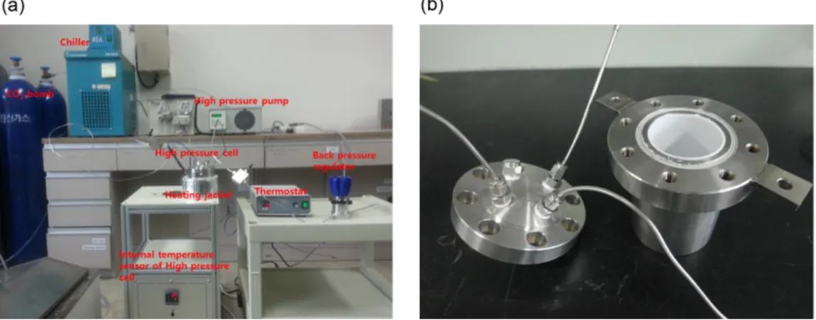 Fig. 3. (a) Experimental setups and (b) high pressure and high temperature cell coated with Teflon.