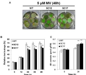 Fig. 2 Characterization of SC sweetpotato plants expressing the  codA  gene. (A) Phenotype of SC Plants