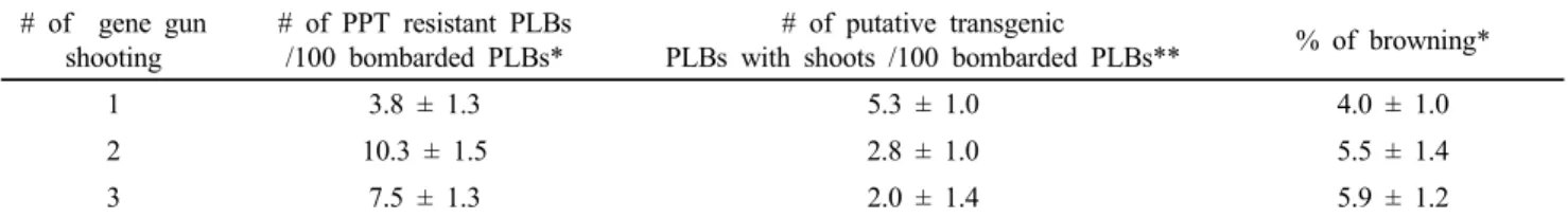 Table 1 Effects of an increasing shooting chance in particle bombardment for the high efficiency of Phalaenopsis  transformation  protocol # of  gene gun  shooting # of PPT resistant PLBs/100 bombarded PLBs* # of putative transgenic 
