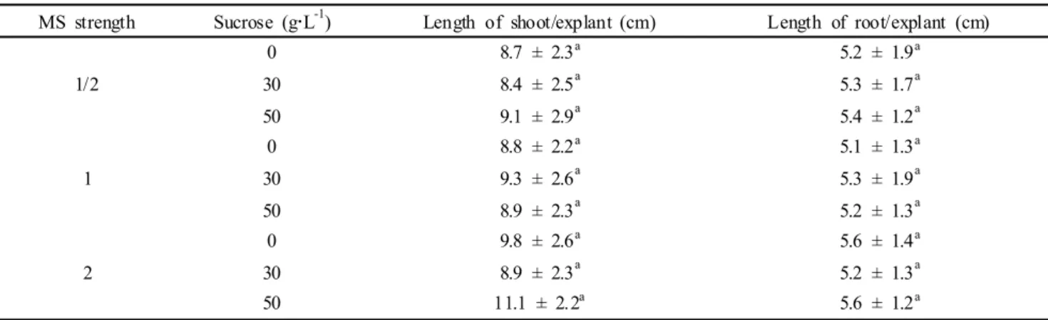 Table 2 Effect of medium strength and sucrose concentration on plant regeneration from adventitious shoot of H