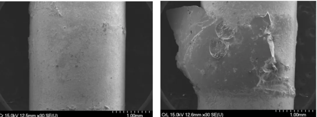 Fig. 3.  Low magnification SEM image showing a representative sample of adhesive failure;  low magnification SEM image of mixed failure