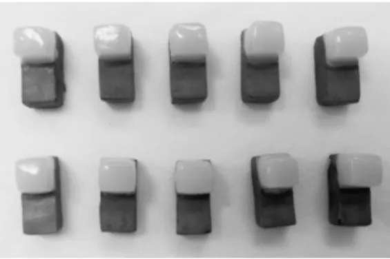 Fig. 3. Shear bond test in testing machine