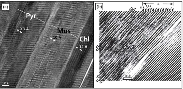 Fig. 3. TEM lattice fringe image of mixed-phase illite (Modified from Choi et al., 2011)