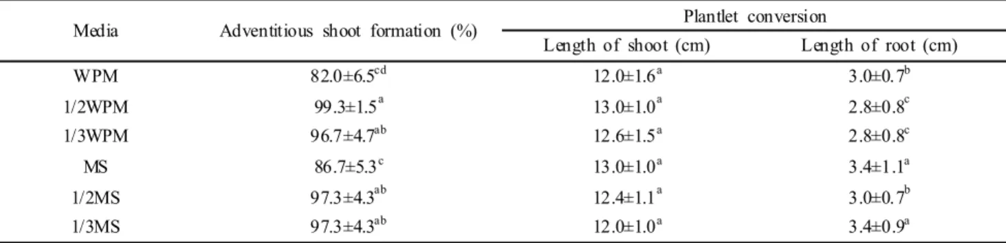 Table 2 Effect of various kinds of medium on adventitious shoot formation and plantlet conversion of L