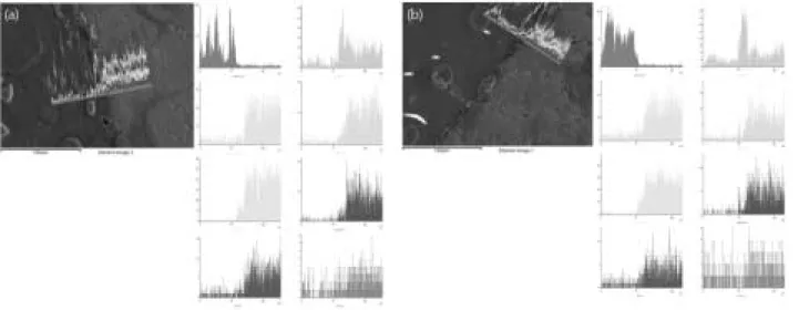 Fig. 6. Line scanning image of the specimens (a: 1,400℃, b: 1,700℃)