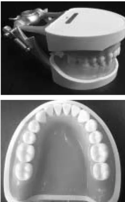 Fig. 1. Lower full arch master model