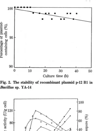 Fig. 2.  The  stability of recombinant plasmid p-12  Bl in  Bacillus  sp.  YA-14  50 40 10 90 O  0.74 