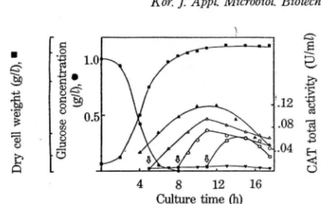 Fig. 4.  Effect of initial chloramphenicol concentration on  CAT  specific  activity  in  Bacillus  sp