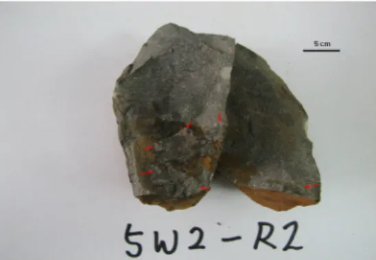 Fig. 10. Rock sample collected from section 5. Arrows indicate pyrite.