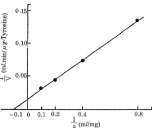 Fig.  6.  Lineweaver-Burl ‘  plot of various  concentrations  of casein  on  the enzyme  reaction  rate