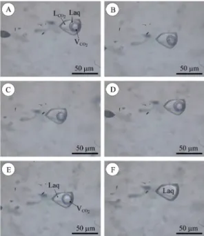 Fig. 2. Sequence of photomicrographs showing the phase changes observed CO 2 -bearing fluid inclusion (Type III) in quartz during freezing/heating cycle