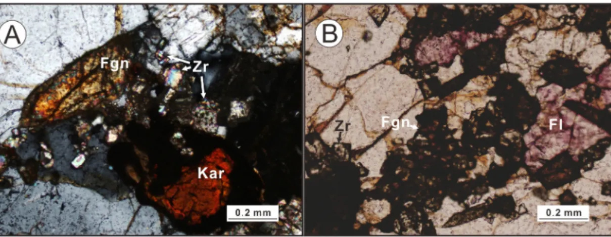 Fig. 6. Back-scattered electron image (BEI) of pegmatite-hosted REE ores. Abbreviation = Kar: karnasurtite, To; thorite, Fgn: fergusonite, Zr: zircon.