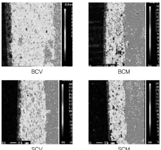 Fig. 2. Bonding agent layer EPMA image of Si element