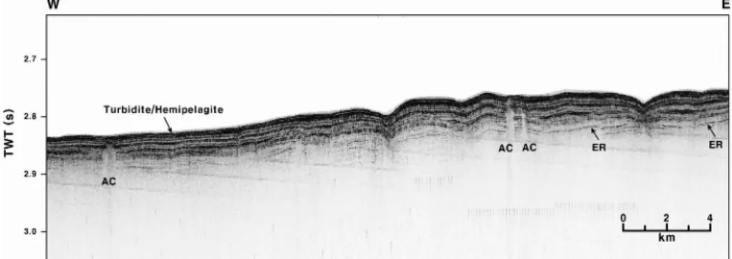 Fig. 3. High-resolution chirp profile showing dome structure (DS) and acoustic column (AC) in the lower slope of the eastern Ulleung Basin