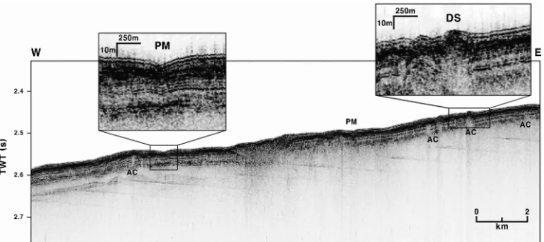 Fig. 4. High-resolution chirp profile showing acoustic column (AC), pockmark (PM), and dome structure (DS) in the lower slope of the Ulleung Basin