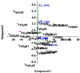 Table 3 Correlation coefficients of quantitative folia traits of  Thaumatococcus daniellii populations collected from Southwestern  states of Nigeria  PL PD LW LL LT PL 1 PT 0.2613 1 LW 0.6995** 0.2534 1 LL 0.6704** 0.3209 0.9563* 1 LT 0.3950 0.1208 0.0517