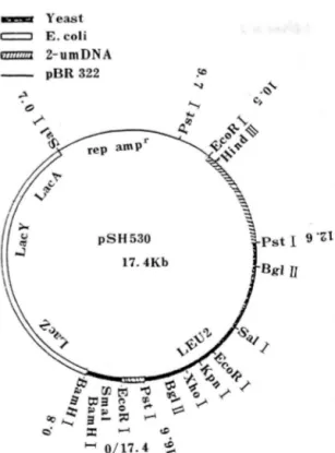 Fig. L  Structure  and  restriction  endonuc\ease  map  of  plasmid  pSH  530. 