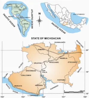 Fig. 1. Location map of Michoacan state in Mexico.