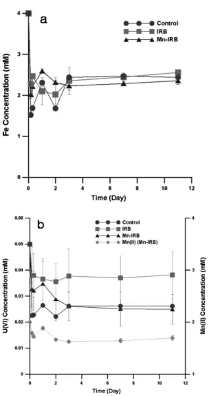 Fig. 2. (a) Variation of Fe concentrations during  IRB bioreduction. (b) Removal trends of uranium  and manganese ions during IRB bioreduction.