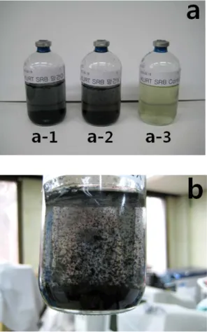 Fig. 4. XRD patterns of (a) SRB precipitates and  (b) Mn-SRB precipitates. Arrows indicate main  peaks of mackinawite