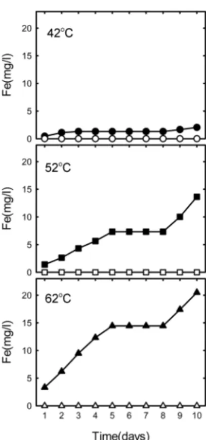Fig. 9. Change in the concentration of Fe during the sphalerite bioleaching experiments at 42 o C( ● ; bacteria,