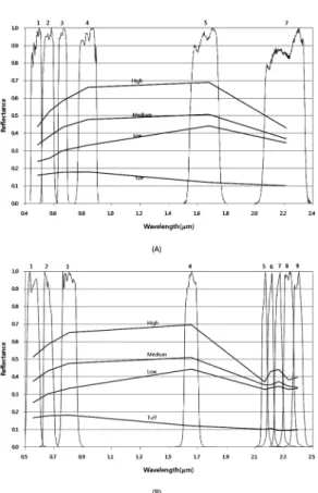 Fig. 5. Spectra patterns of tuff and pyrophyllite deposits. A.