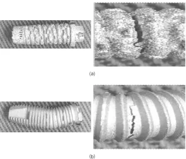 Fig. 7. Fracture shape type. a : PI, b : NI 