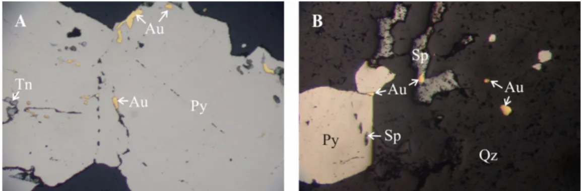 Fig. 8.  Reflected light photomicrographs of native gold and electrum in D 4b  stage. Width of field 2 mm