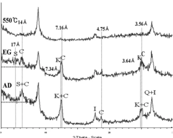 Fig. 2. X-ray diffraction patterns of < 2 um fraction  sample from 07-YS74. AD; air-dried, EG; ethylene-  glycolated, 550℃; heated at 550℃; C; chlorite, I; 