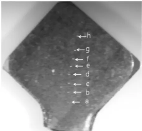 Fig. 1. Measurement position of microvickers hardness test in Ti castings.
